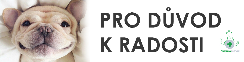 užší banner_péče o zuby